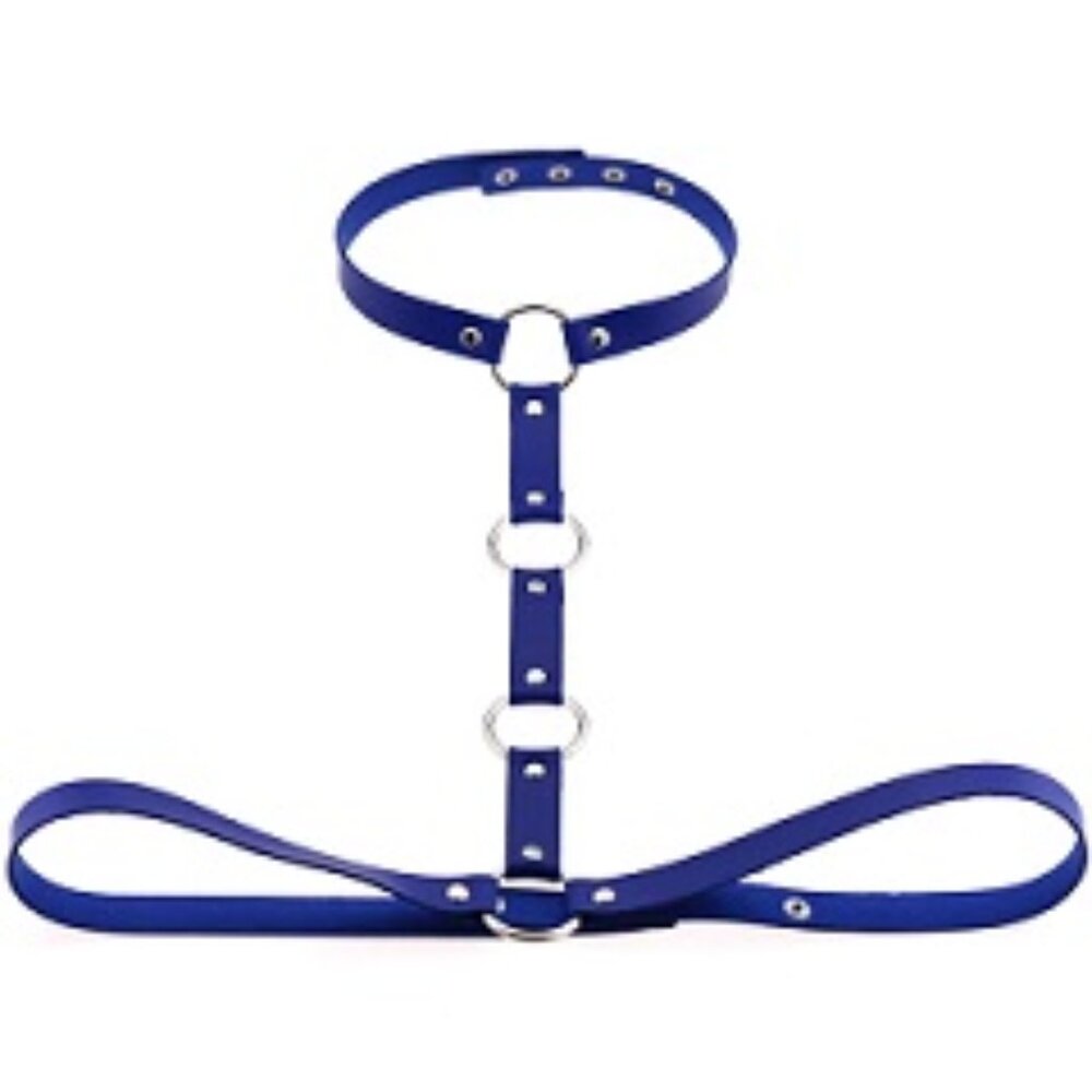 Blue Dominion Leather Harness